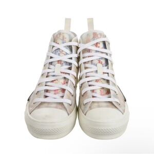 Dior B23 High Top Multicolor Oblique